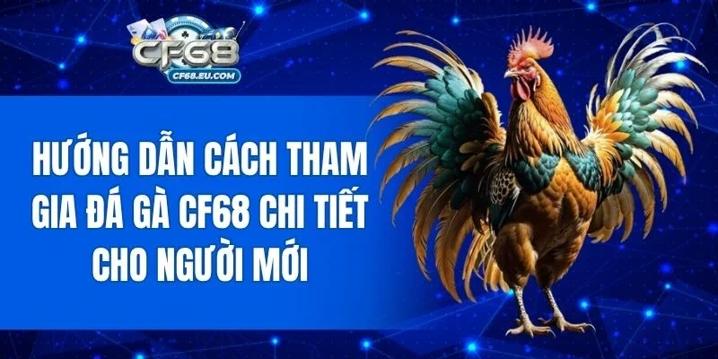 Cách bắt đầu chơi đá gà tại cổng game đơn giản và nhanh chóng