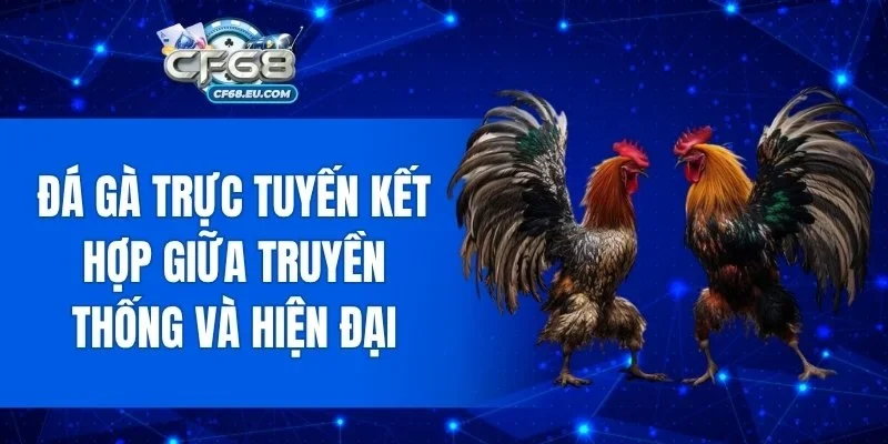 Đá gà trực tuyến kết hợp giữa truyền thống và hiện đại