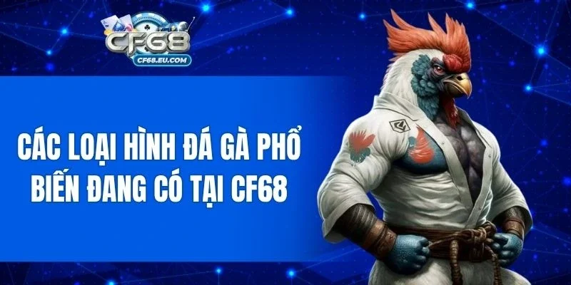 Danh sách hình thức đá gà phổ biến cho người chơi chọn lựa