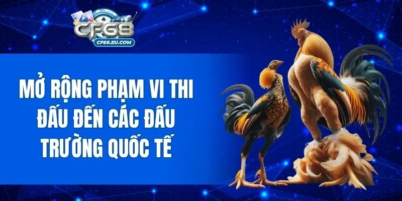 Mở rộng phạm vi thi đấu đến các đấu trường quốc tế