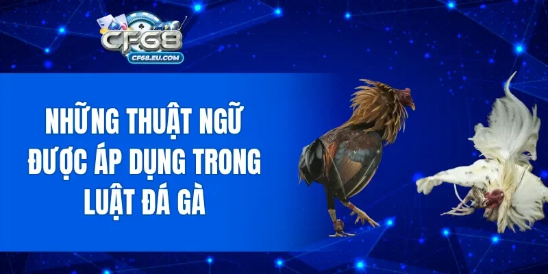 Những thuật ngữ được áp dụng trong luật đá gà 