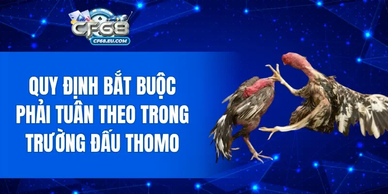 Quy định bắt buộc phải tuân theo trong trường đấu Thomo