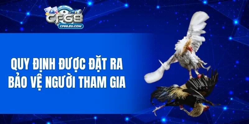 Quy định được đặt ra để bảo vệ người tham gia