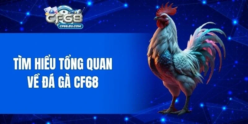 Tổng quan về hình thức đá gà và nền tảng